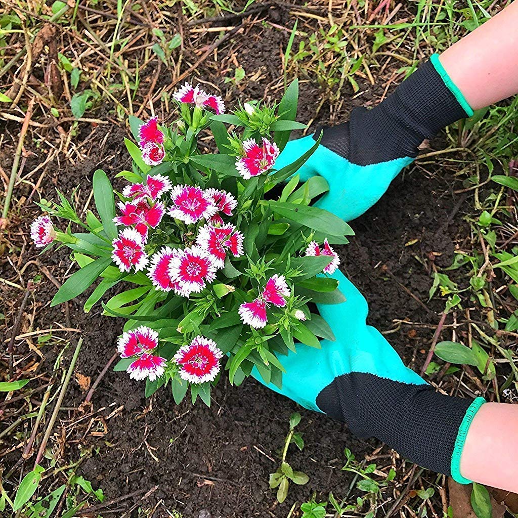 ClawPro™ Garden Gloves – Dig, Plant & Protect with Ease!